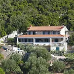 Winery Bacic