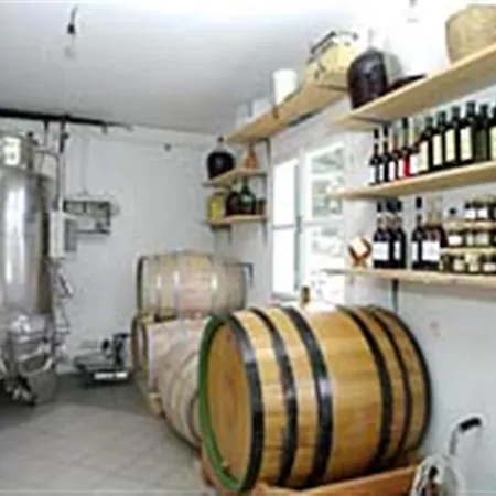 Winery Bacic Blato (Korcula)