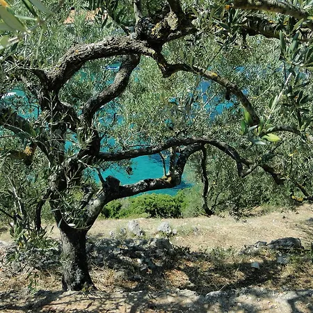 Διαμέρισμα Winery Bacic