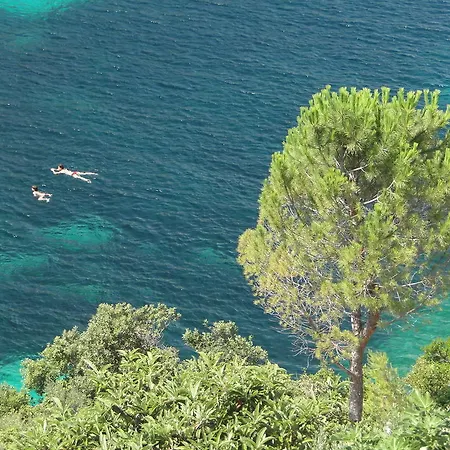 Апартаменты Winery Bacic Blato (Korcula)