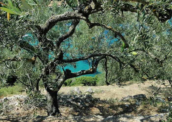 Apartment Winery Bacic